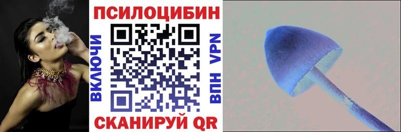 где найти наркотики Волжский Псилоцибиновые грибы прущие грибы